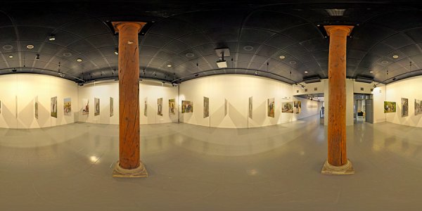 Fondation d'entreprise espace écureuil pour l'Art contemporain